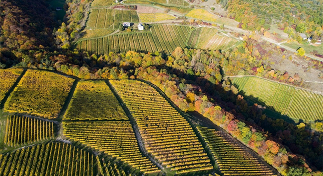 e5ac1f24-c22d-449a-a6b2-f348f3b9ac52 e5ac1f24-c22d-449a-a6b2-f348f3b9ac52